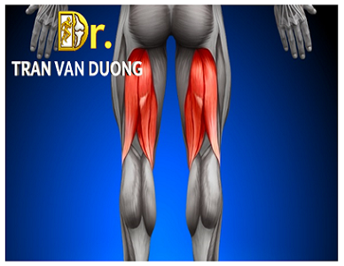 Hình minh họa Chấn Thương Cơ Gân Kheo - Bác sĩ CK2 Trần Văn Dương (TP.HCM)